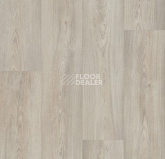 Линолеум Forbo Eternal Wood 10322 white chestnut фото 1 | FLOORDEALER